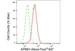 Fe65 Antibody in Flow Cytometry (Flow)