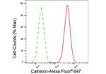 Calnexin Antibody in Flow Cytometry (Flow)