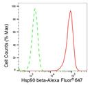 HSP90 beta Antibody in Flow Cytometry (Flow)