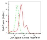 DNA Ligase IV Antibody in Flow Cytometry (Flow)