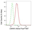 LMAN1 Antibody in Flow Cytometry (Flow)