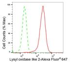 LOXL2 Antibody in Flow Cytometry (Flow)