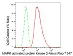 MAPKAPK2 Antibody in Flow Cytometry (Flow)