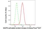 MAPKAPK2 Antibody in Flow Cytometry (Flow)