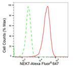 NEK7 Antibody in Flow Cytometry (Flow)