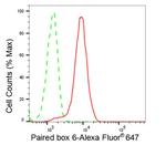 PAX6 Antibody in Flow Cytometry (Flow)