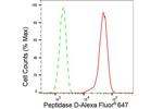 PEPD Antibody in Flow Cytometry (Flow)