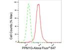 PPM1G Antibody in Flow Cytometry (Flow)