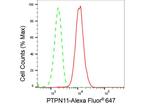 SHP2 Antibody in Flow Cytometry (Flow)