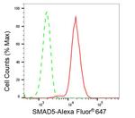 SMAD5 Antibody in Flow Cytometry (Flow)