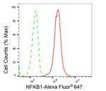 NFkB p50/p105 Antibody in Flow Cytometry (Flow)