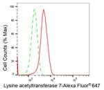 MYST2 Antibody in Flow Cytometry (Flow)