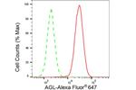 AGL Antibody in Flow Cytometry (Flow)