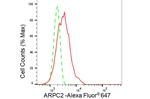 ARPC2 Antibody in Flow Cytometry (Flow)