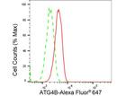 ATG4B Antibody in Flow Cytometry (Flow)