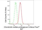 NG2 Antibody in Flow Cytometry (Flow)