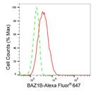 BAZ1B Antibody in Flow Cytometry (Flow)