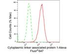 CLASP1 Antibody in Flow Cytometry (Flow)