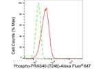 Phospho-PRAS40 (Thr246) Antibody in Flow Cytometry (Flow)