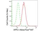 APPL1 Antibody in Flow Cytometry (Flow)