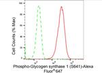 Phospho-GYS1 (Ser641) Antibody in Flow Cytometry (Flow)