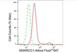 SMARCC1 Antibody in Flow Cytometry (Flow)