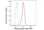 VPS35 Antibody in Flow Cytometry (Flow)