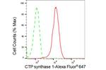 CTPS Antibody in Flow Cytometry (Flow)