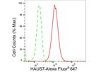 HAUS7 Antibody in Flow Cytometry (Flow)