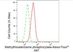 MTAP Antibody in Flow Cytometry (Flow)