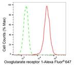 OXGR1 Antibody in Flow Cytometry (Flow)