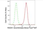 RAD51 Antibody in Flow Cytometry (Flow)