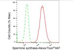 SMS Antibody in Flow Cytometry (Flow)