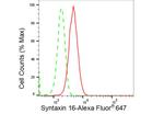 STX16 Antibody in Flow Cytometry (Flow)