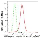 WDR1 Antibody in Flow Cytometry (Flow)