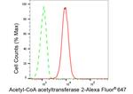 ACAT2 Antibody in Flow Cytometry (Flow)