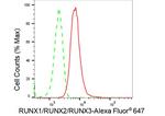 RUNX1/RUNX2/RUNX3 Antibody in Flow Cytometry (Flow)