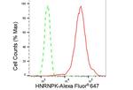 hnRNP K Antibody in Flow Cytometry (Flow)