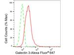 Galectin 3 Antibody in Flow Cytometry (Flow)