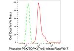 Phospho-PBK (Thr9) Antibody in Flow Cytometry (Flow)