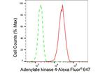 Adenylate Kinase 4 Antibody in Flow Cytometry (Flow)