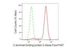 CtBP2 Antibody in Flow Cytometry (Flow)