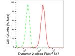 Dynamin 2 Antibody in Flow Cytometry (Flow)