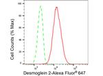 Desmoglein 2 Antibody in Flow Cytometry (Flow)