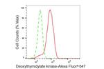 DTYMK Antibody in Flow Cytometry (Flow)