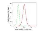 DUT Antibody in Flow Cytometry (Flow)