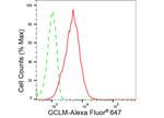 GCLM Antibody in Flow Cytometry (Flow)