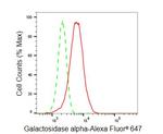 alpha Galactosidase Antibody in Flow Cytometry (Flow)