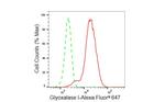 GLO1 Antibody in Flow Cytometry (Flow)