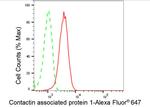 CNTNAP1 Antibody in Flow Cytometry (Flow)